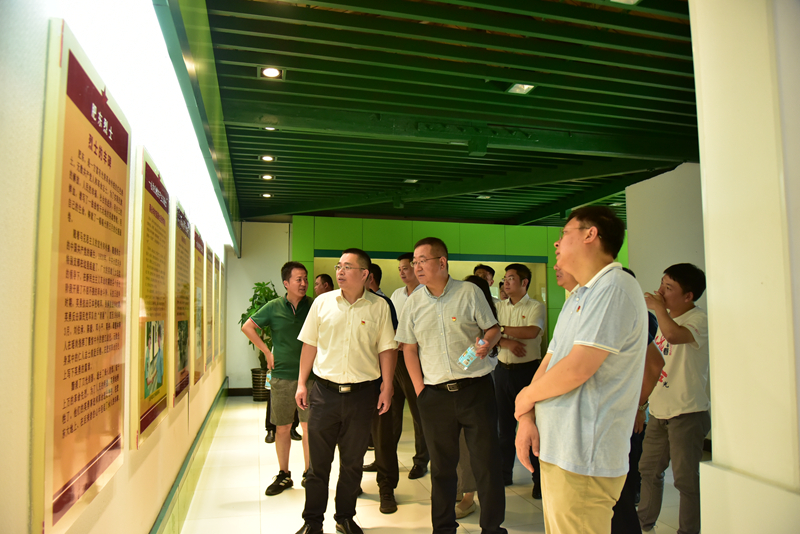 市政分公司黨總支、合肥市重點(diǎn)局直屬黨委第二黨支部聯(lián)合開(kāi)展主題黨日活動(dòng)3